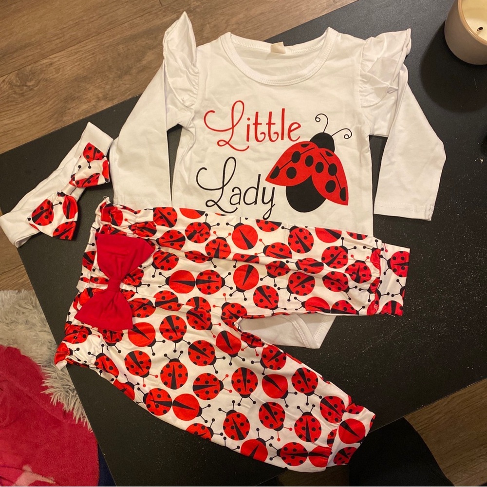 3 piece ladybug infant set.